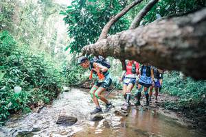 BIB: 
                            <button type="button" onclick="openModal(25372647)" class="btn btn-primary btn-sm float-right btn-popup" data-toggle="modal" data-target=".modal-high-quality">
                        <i class="fas fa-shopping-cart"></i> Add to Cart
                    </button>
                                            <button type="button" onclick="isThisMe(25372647, true)" class="btn btn-success btn-sm float-right btn-popup btn-isme hidden" data-toggle="tooltip" data-placement="bottom" title="นี่คือรูปของคุณใช่ไหม คลิกที่นี่เพื่อเอาเข้าอัลบั้ม">
                        <i class="fas fa-plus"></i> Add to album
                    </button>
                    <button type="button" onclick="isThisMe(25372647, false)" class="btn btn-warning btn-sm float-right btn-popup btn-isnotme hidden">
                        <i class="fas fa-ban"></i> Remove from album
                    </button>